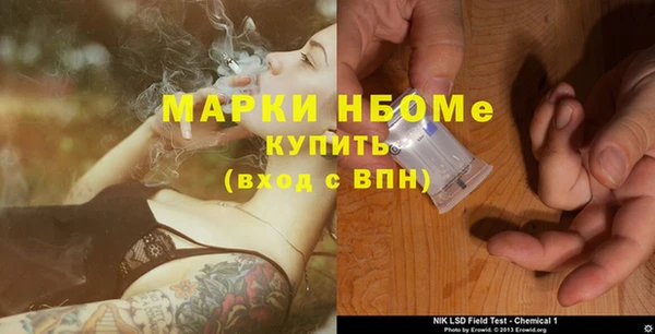 ГАЛЛЮЦИНОГЕННЫЕ ГРИБЫ Богданович