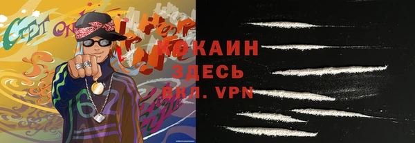 ГАЛЛЮЦИНОГЕННЫЕ ГРИБЫ Богданович