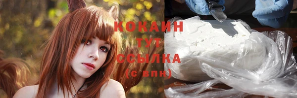 ГАЛЛЮЦИНОГЕННЫЕ ГРИБЫ Богданович