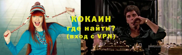 ГАЛЛЮЦИНОГЕННЫЕ ГРИБЫ Богданович
