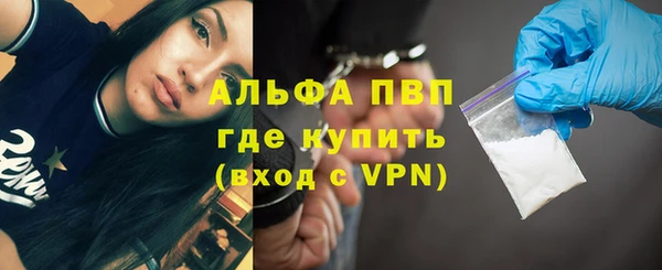 ГАЛЛЮЦИНОГЕННЫЕ ГРИБЫ Богданович