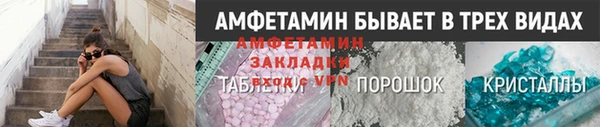 ГАЛЛЮЦИНОГЕННЫЕ ГРИБЫ Богданович