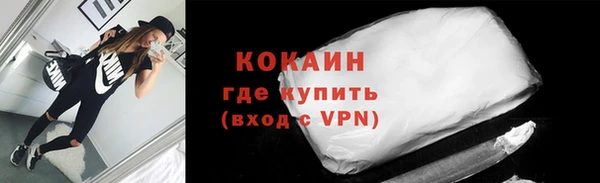 ГАЛЛЮЦИНОГЕННЫЕ ГРИБЫ Богданович