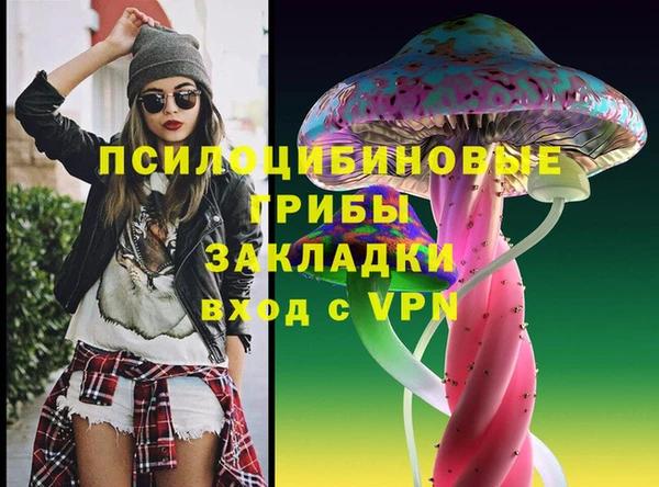 ГАЛЛЮЦИНОГЕННЫЕ ГРИБЫ Богданович